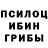 Псилоцибиновые грибы GOLDEN TEACHER Hilal GENC