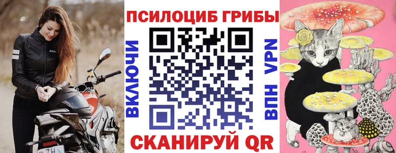 закладки  Сыктывкар  Псилоцибиновые грибы прущие грибы 
